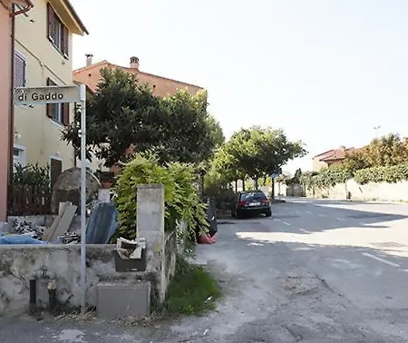 Gaudenzia Pisa