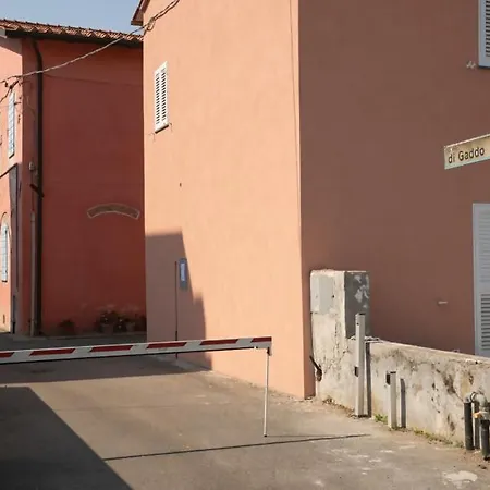 Gaudenzia Pisa